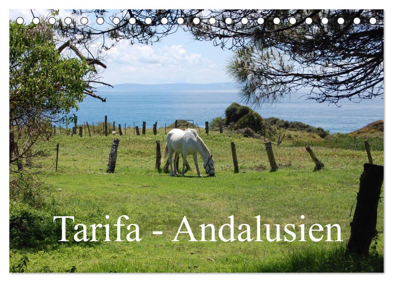 Vorderes Coverbild Tarifa - Andalusien (Tischkalender 2026 DIN A5 quer), CALVENDO Monatskalender