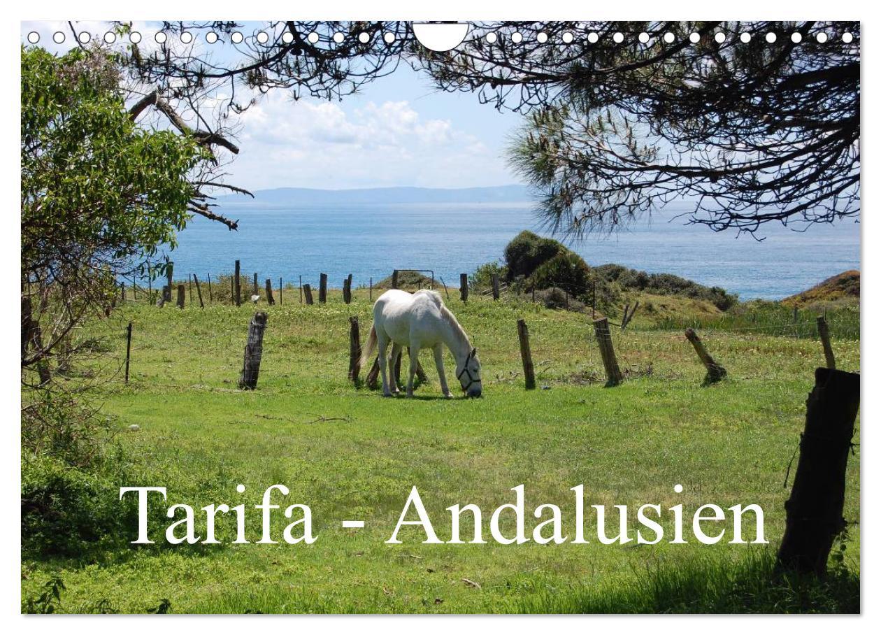 Vorderes Coverbild Tarifa - Andalusien (Wandkalender 2026 DIN A4 quer), CALVENDO Monatskalender