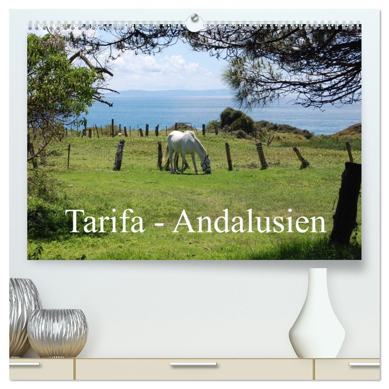Vorderes Coverbild Tarifa - Andalusien (hochwertiger Premium Wandkalender 2026 DIN A2 quer), Kunstdruck in Hochglanz