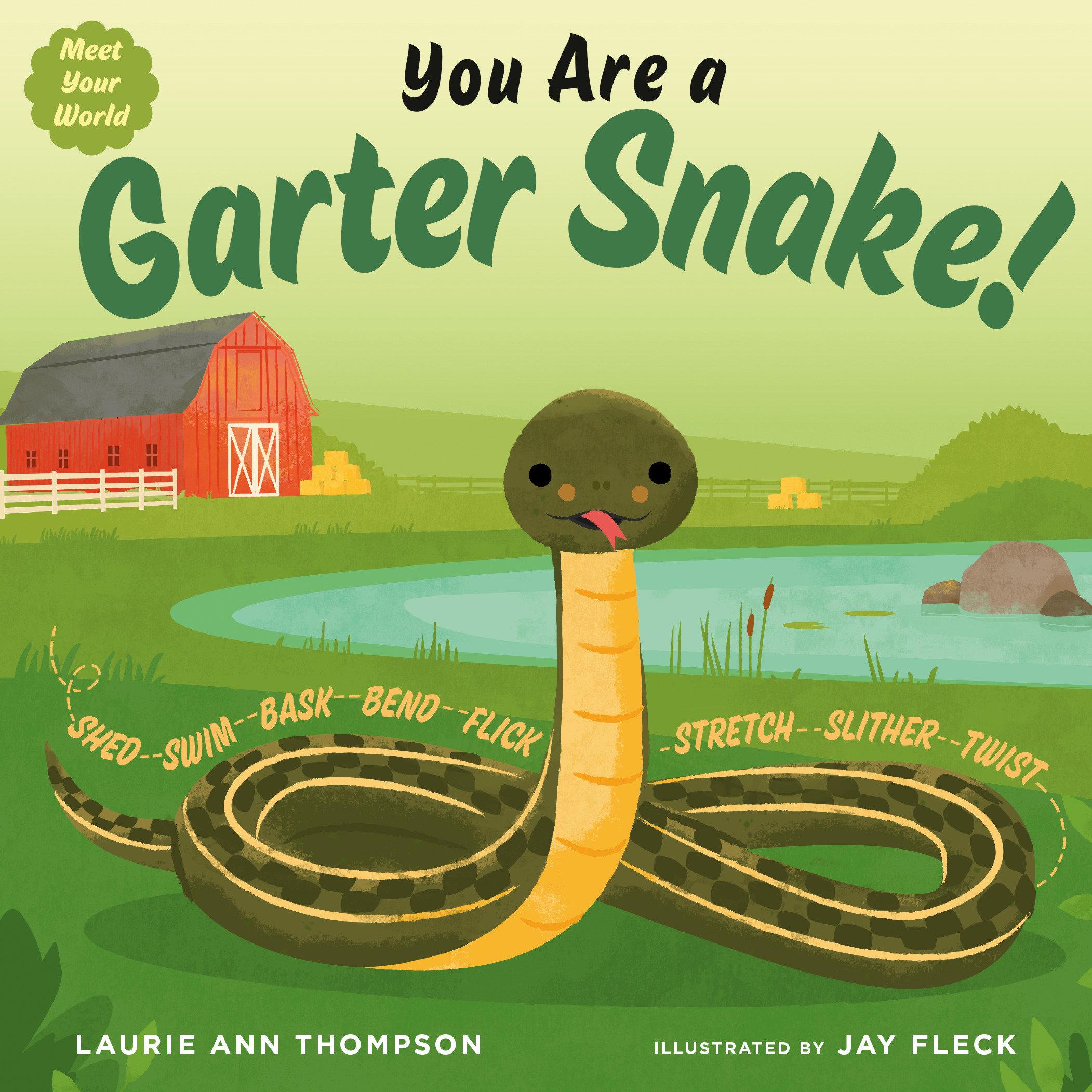 Vorderes Coverbild You Are a Garter Snake!