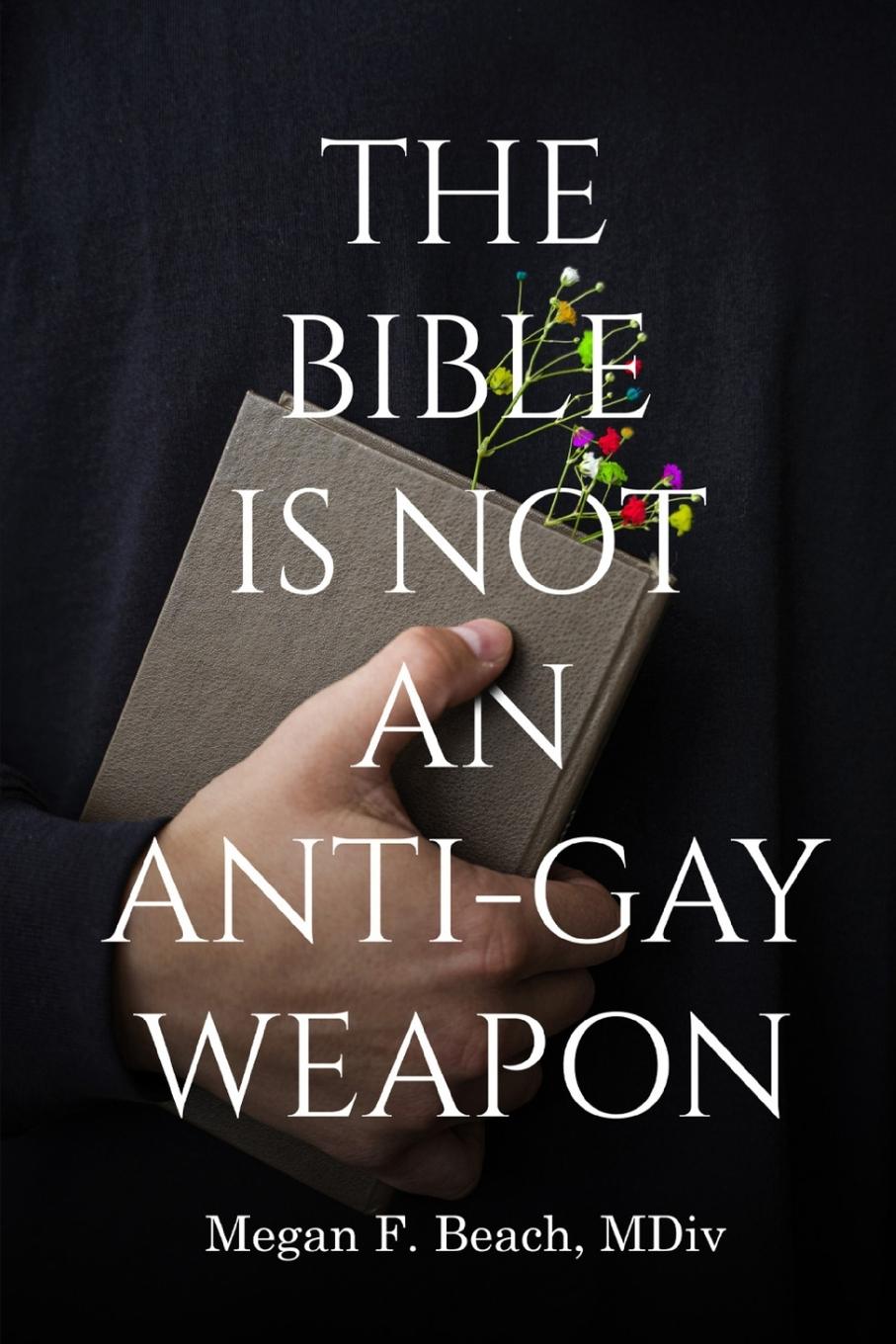 Vorderes Coverbild The Bible is Not an Anti-Gay Weapon