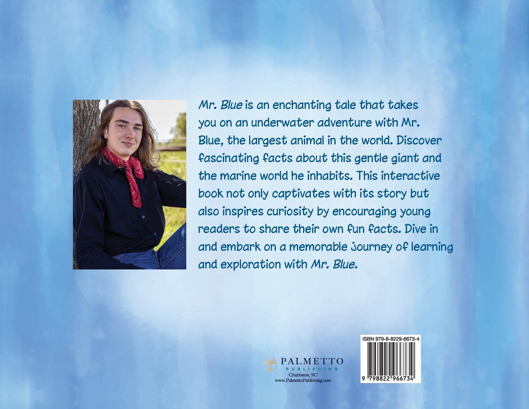 Rückseitencover Mr. Blue