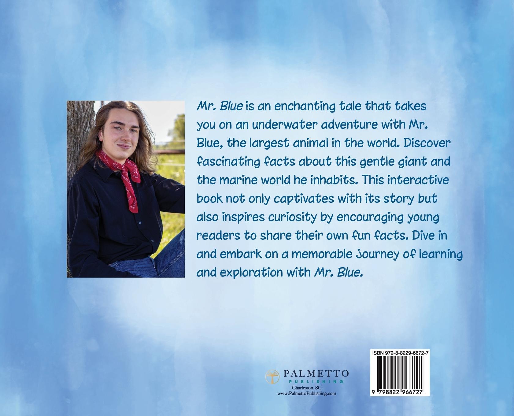 Rückseitencover Mr. Blue