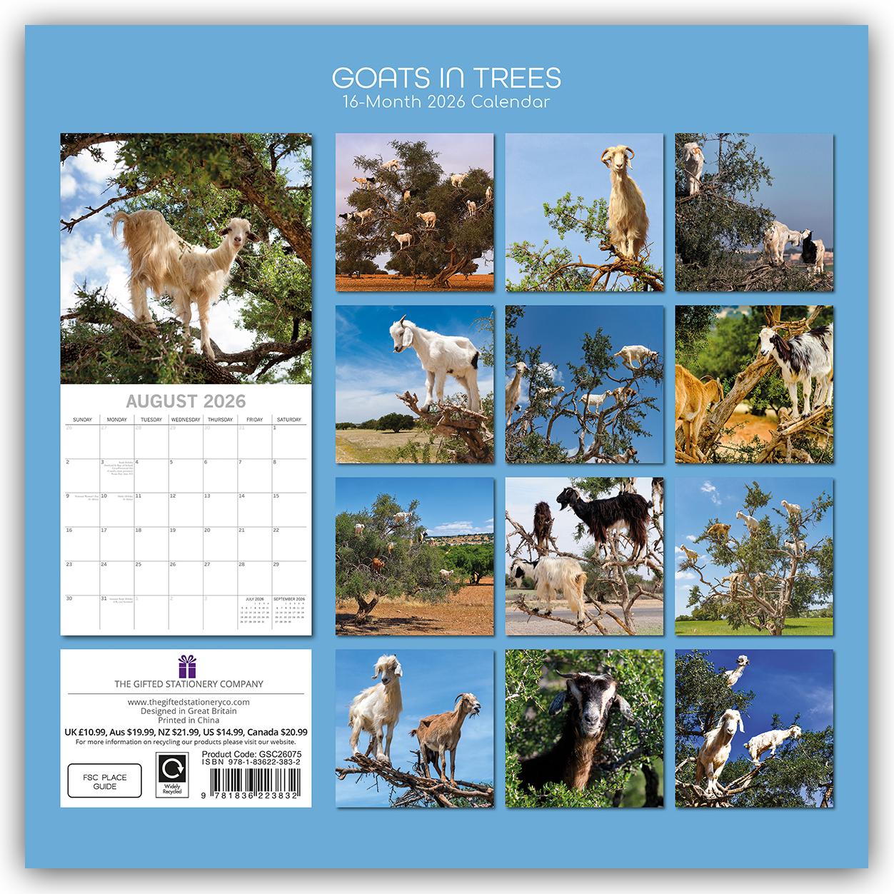 Rückseitencover Goats in Trees - Ziegen auf Bäumen 2026 - 16-Monatskalender