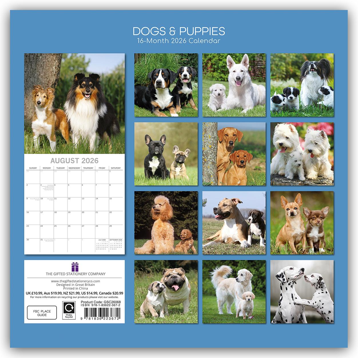 Rückseitencover Dogs and Puppies - Hunde und Welpen 2026 - 16-Monatskalender