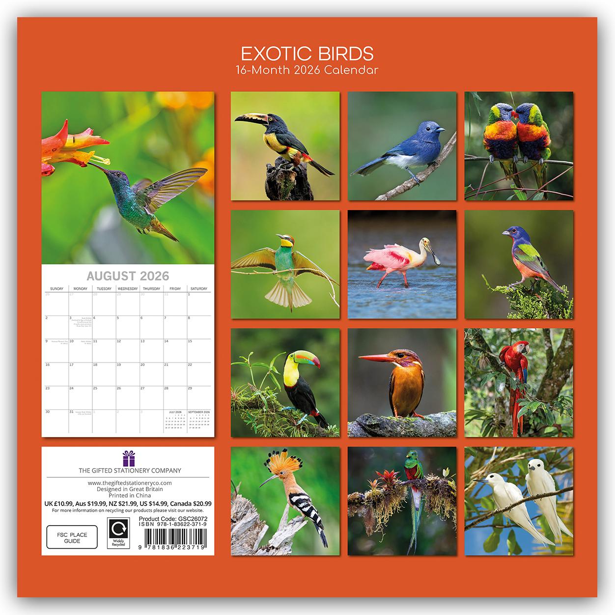 Rückseitencover Exotic Birds - Exotische Vögel 2026 - 16-Monatskalender
