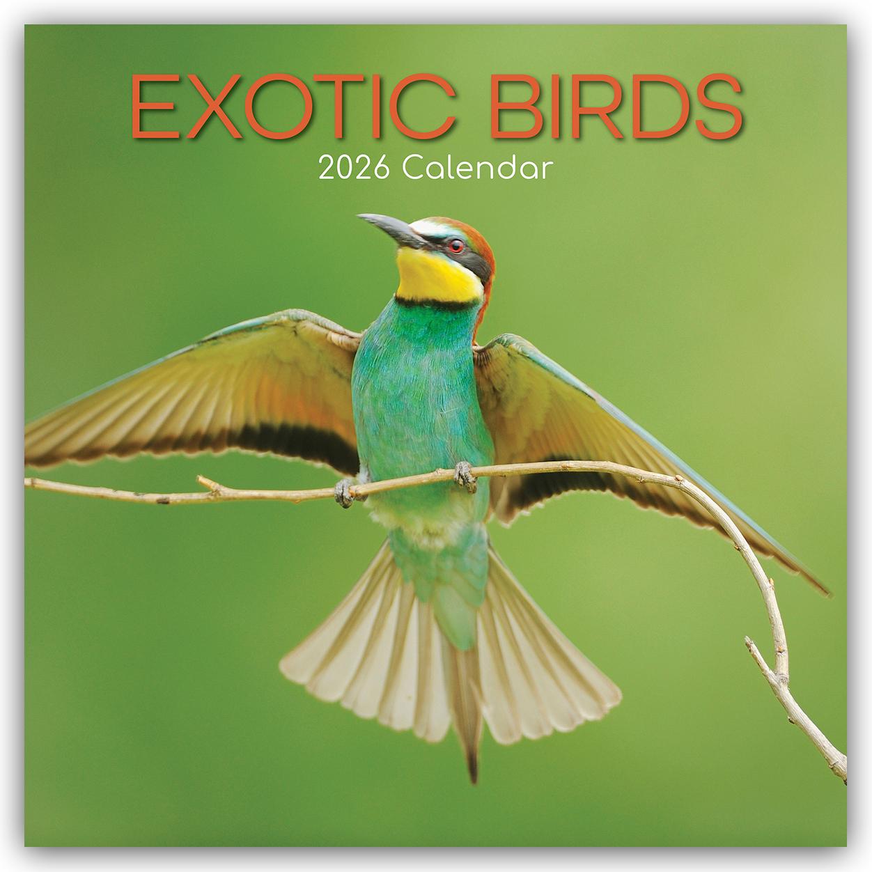 Vorderes Coverbild Exotic Birds - Exotische Vögel 2026 - 16-Monatskalender