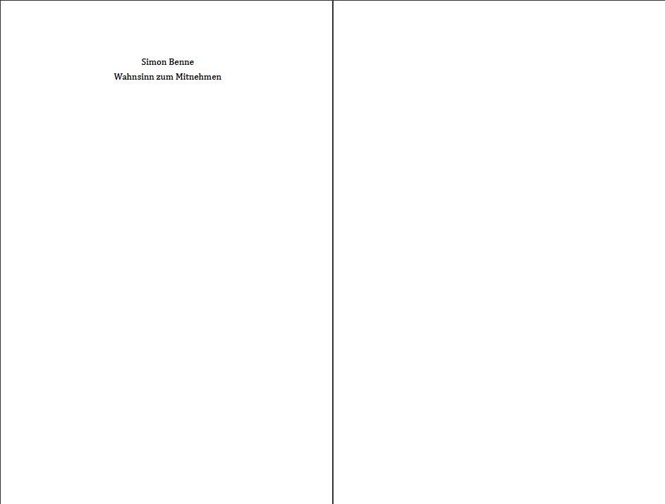 Beispielinhalt (Bild) Wahnsinn zum Mitnehmen