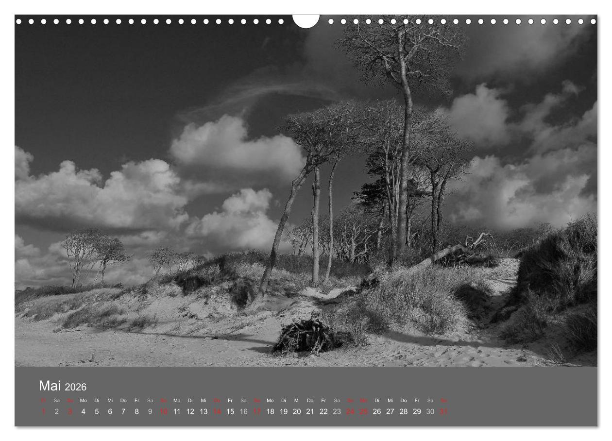 Beispielinhalt (Bild) Ostsee - von schwarz bis weiß (Wandkalender 2026 DIN A3 quer), CALVENDO Monatskalender