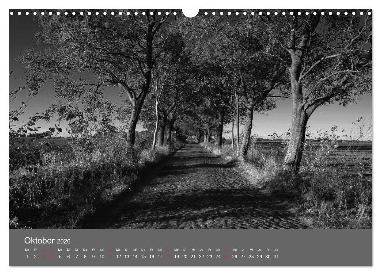 Beispielinhalt (Bild) Ostsee - von schwarz bis weiß (Wandkalender 2026 DIN A3 quer), CALVENDO Monatskalender