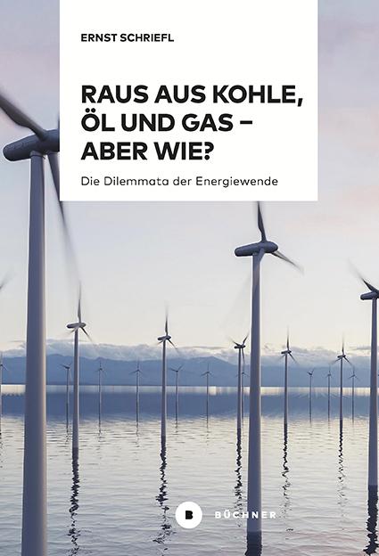 Vorderes Coverbild Raus aus Kohle, Öl und Gas - aber wie?