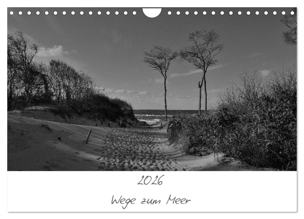 Vorderes Coverbild Wege zum Meer (Wandkalender 2026 DIN A4 quer), CALVENDO Monatskalender