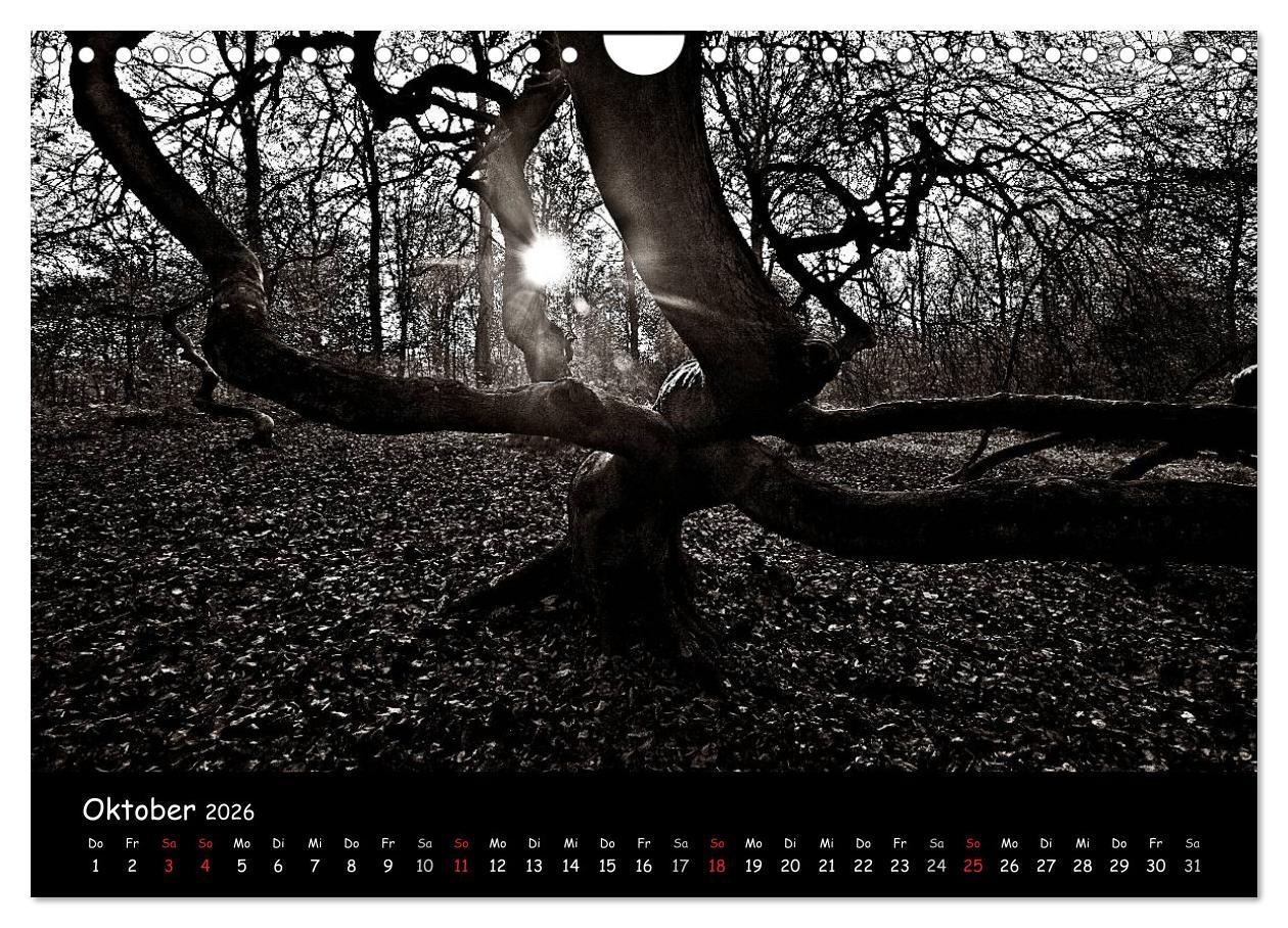 Beispielinhalt (Bild) Rügen in schwarz-weiß (Wandkalender 2026 DIN A4 quer), CALVENDO Monatskalender