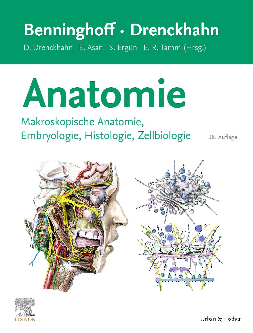 Vorderes Coverbild Benninghoff/Drenckhahn, Anatomie