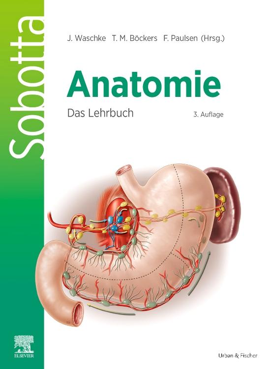 Vorderes Coverbild Sobotta Anatomie - Das Lehrbuch