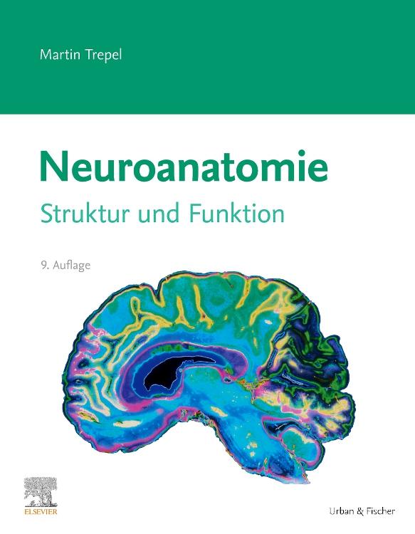 Vorderes Coverbild Neuroanatomie