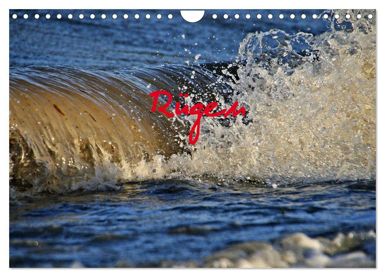 Vorderes Coverbild Rügen (Wandkalender 2026 DIN A4 quer), CALVENDO Monatskalender
