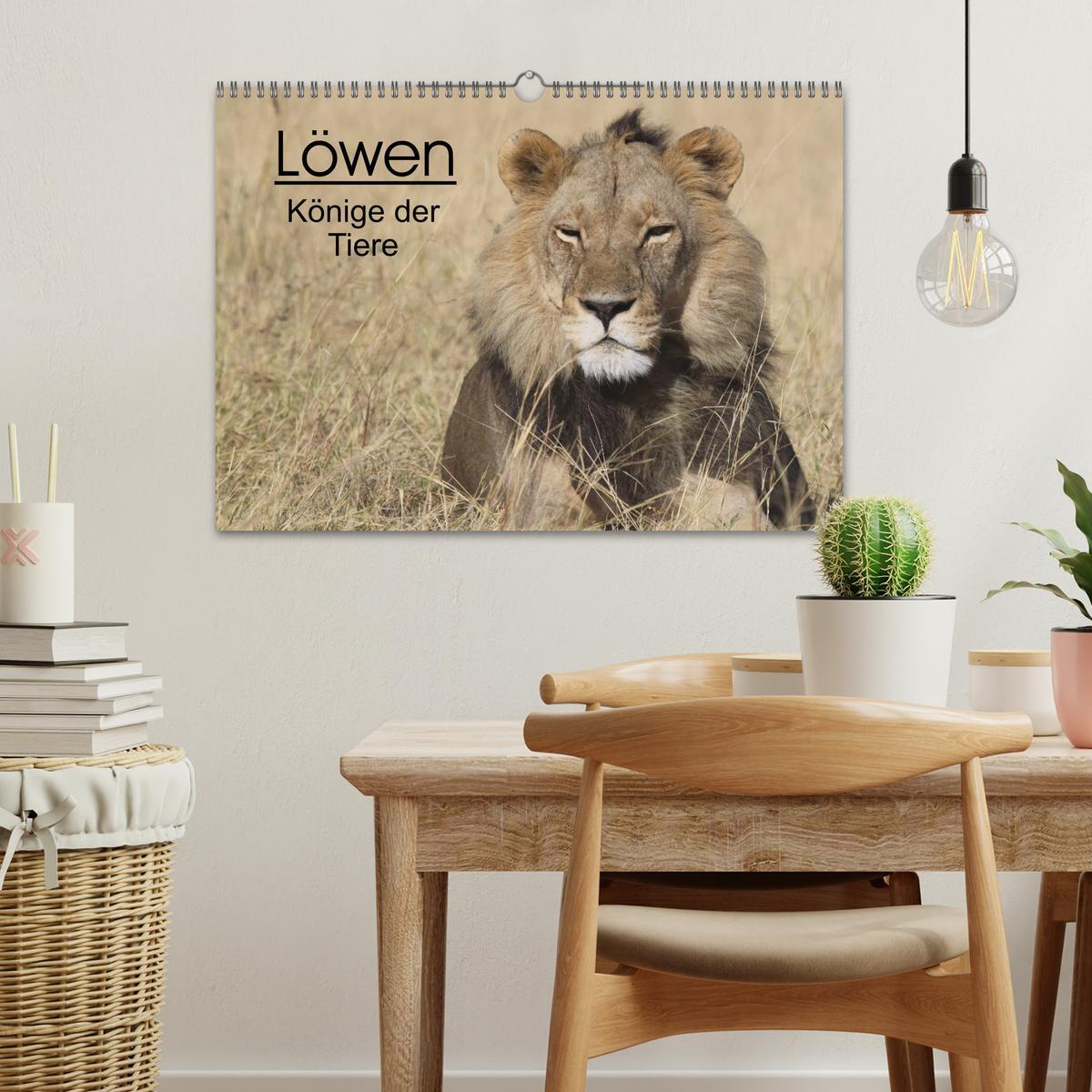 Beispielinhalt (Bild) Löwen - Könige der Tiere (Wandkalender 2026 DIN A3 quer), CALVENDO Monatskalender