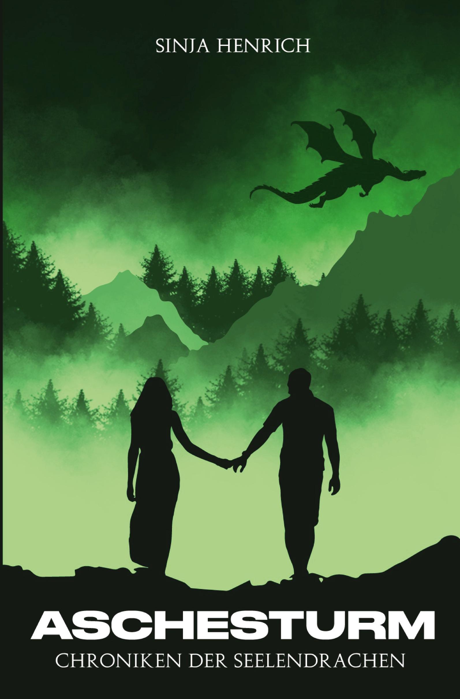 Vorderes Coverbild Aschesturm