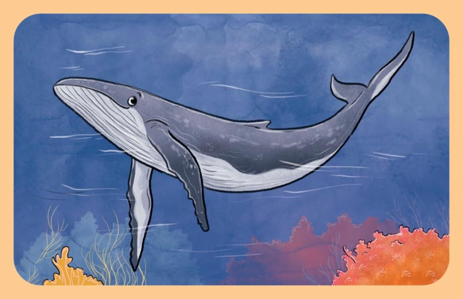 Beispielinhalt (Bild) Krafttier-Affirmationen für Kinder