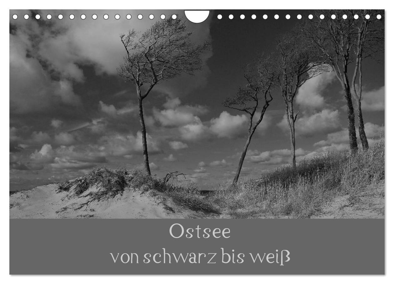 Vorderes Coverbild Ostsee - von schwarz bis weiß (Wandkalender 2026 DIN A4 quer), CALVENDO Monatskalender