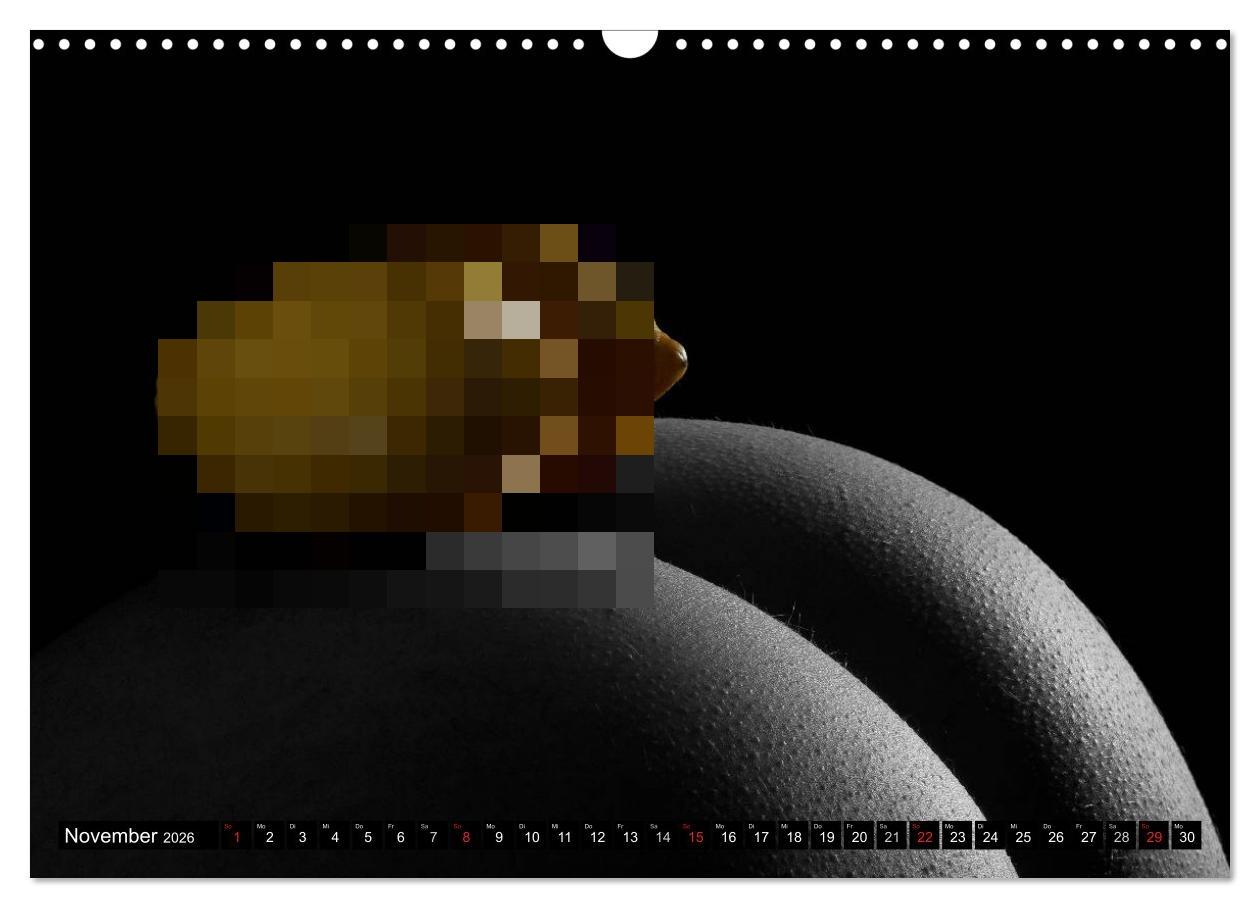Beispielinhalt (Bild) Fruit Nudes 2026 (Wandkalender 2026 DIN A3 quer), CALVENDO Monatskalender