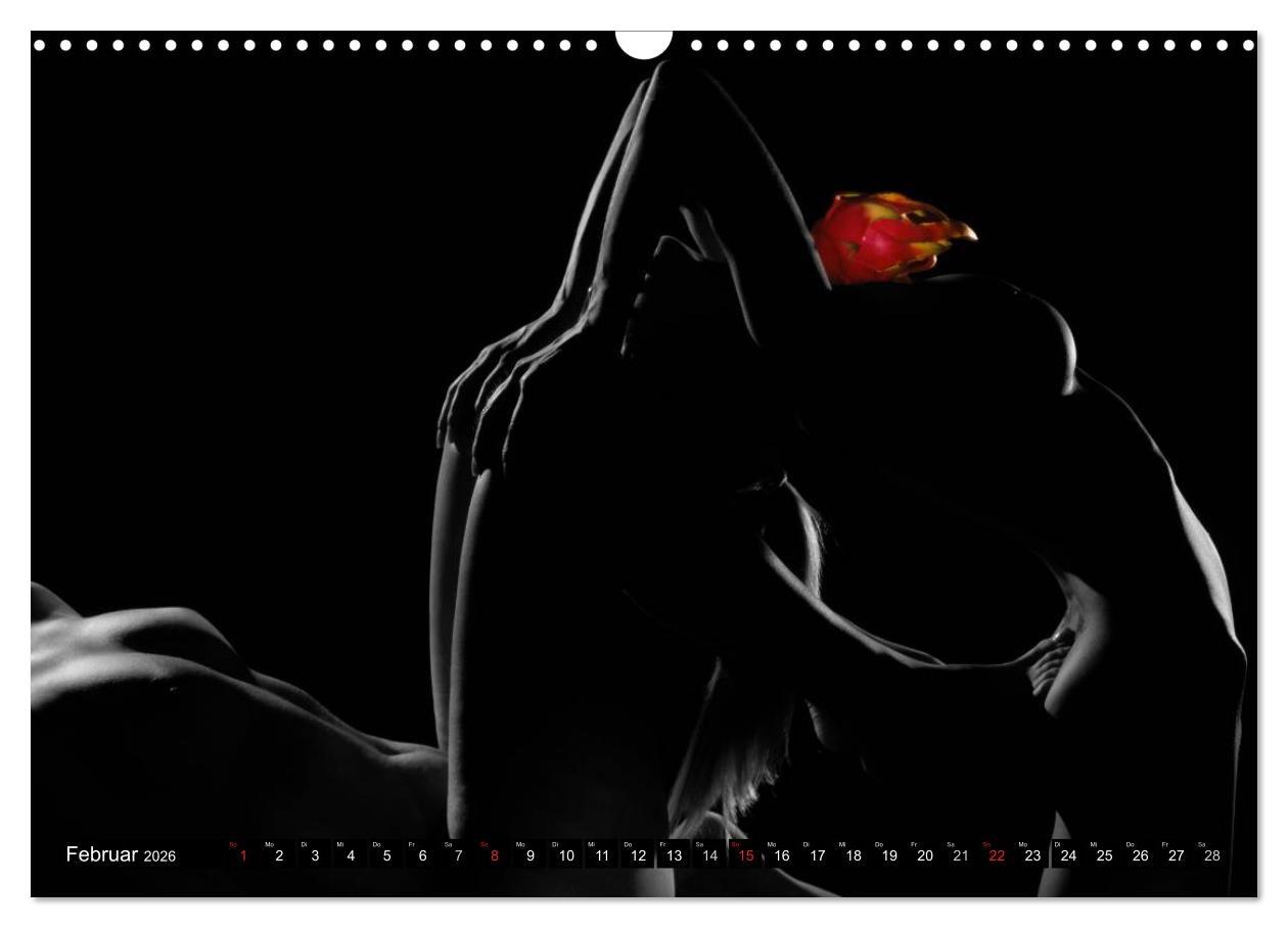Beispielinhalt (Bild) Fruit Nudes 2026 (Wandkalender 2026 DIN A3 quer), CALVENDO Monatskalender