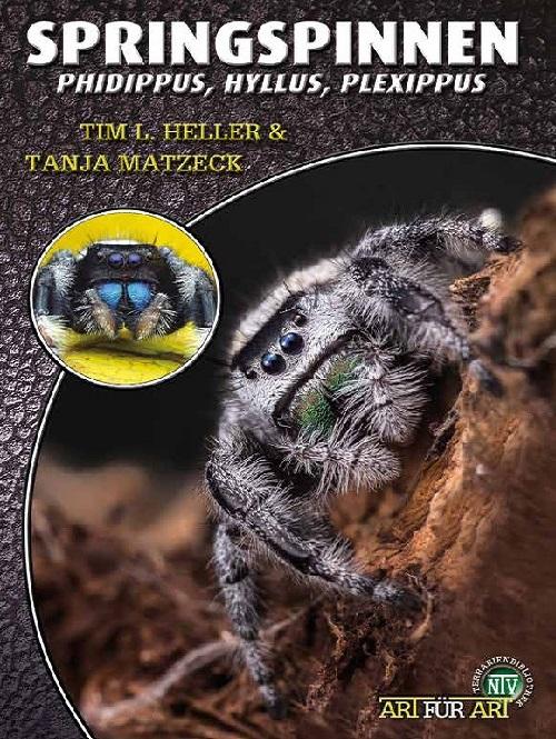 Vorderes Coverbild Springspinnen