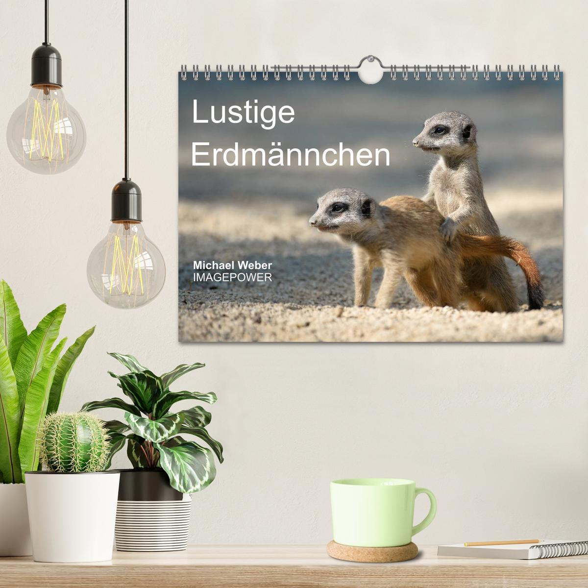 Beispielinhalt (Bild) Lustige Erdmännchen (Wandkalender 2026 DIN A4 quer), CALVENDO Monatskalender