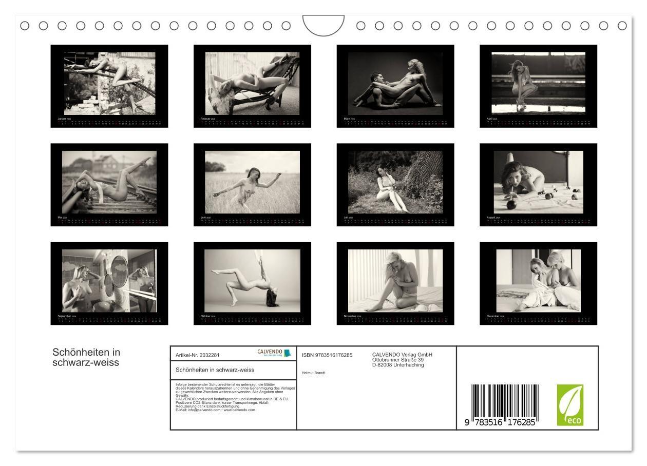 Beispielinhalt (Bild) Schönheiten in schwarz-weiss (Wandkalender 2026 DIN A4 quer), CALVENDO Monatskalender
