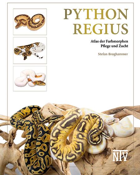 Vorderes Coverbild Python regius