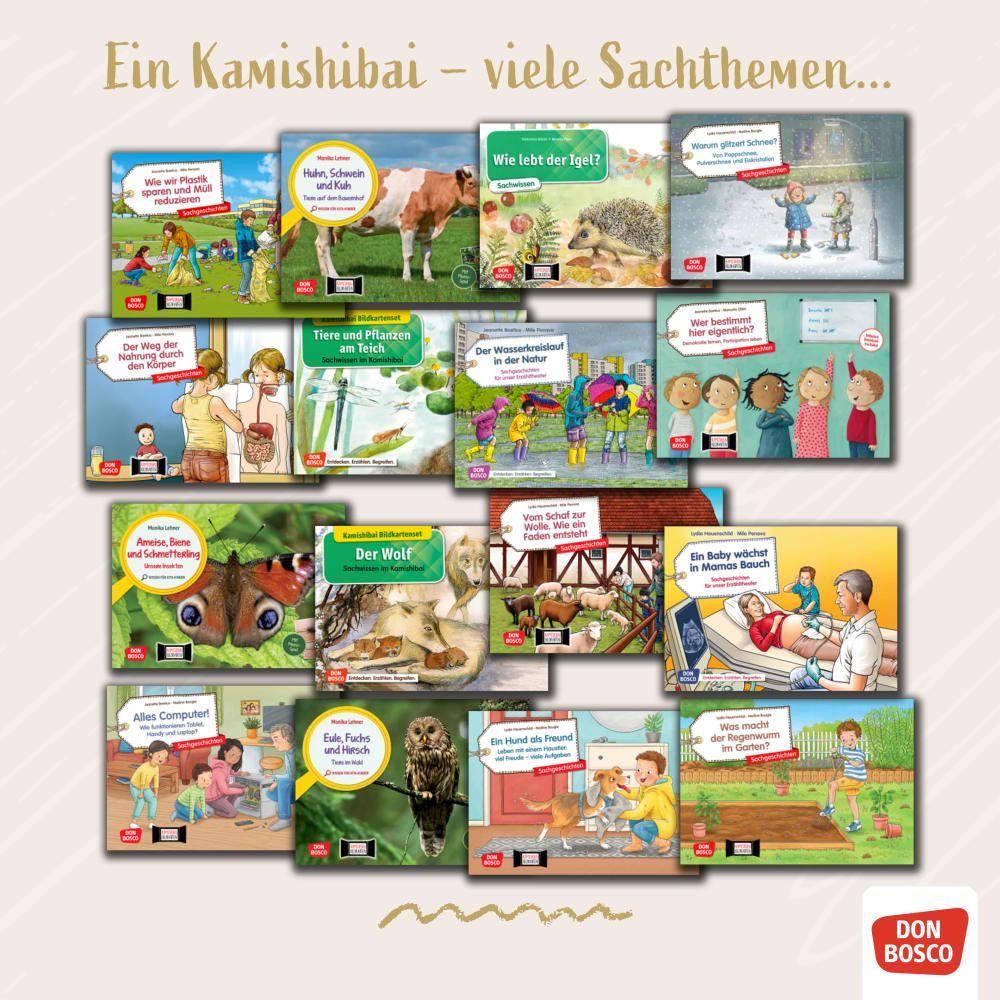Beispielinhalt (Bild) Im Dinopark: Auf den Spuren der Dinosaurier. Kamishibai Bildkartenset
