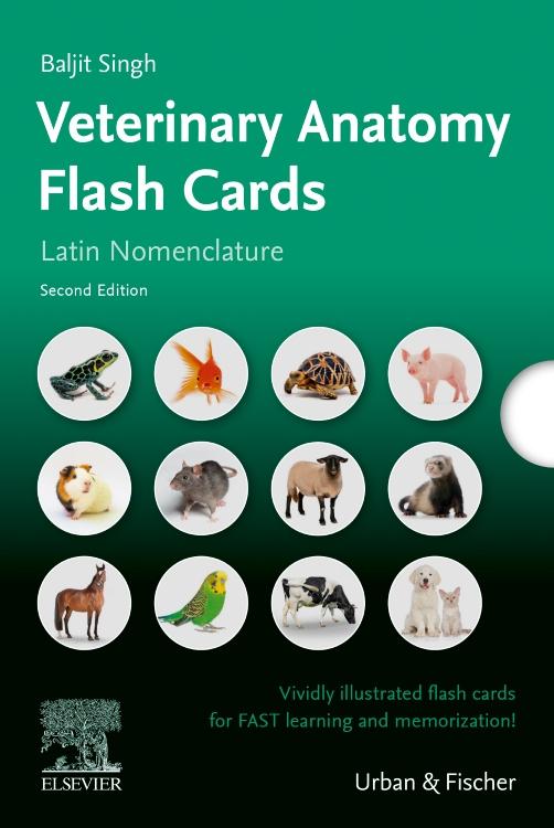 Vorderes Coverbild Lernkarten Veterinäranatomie / Veterinary Anatomy Flash Cards