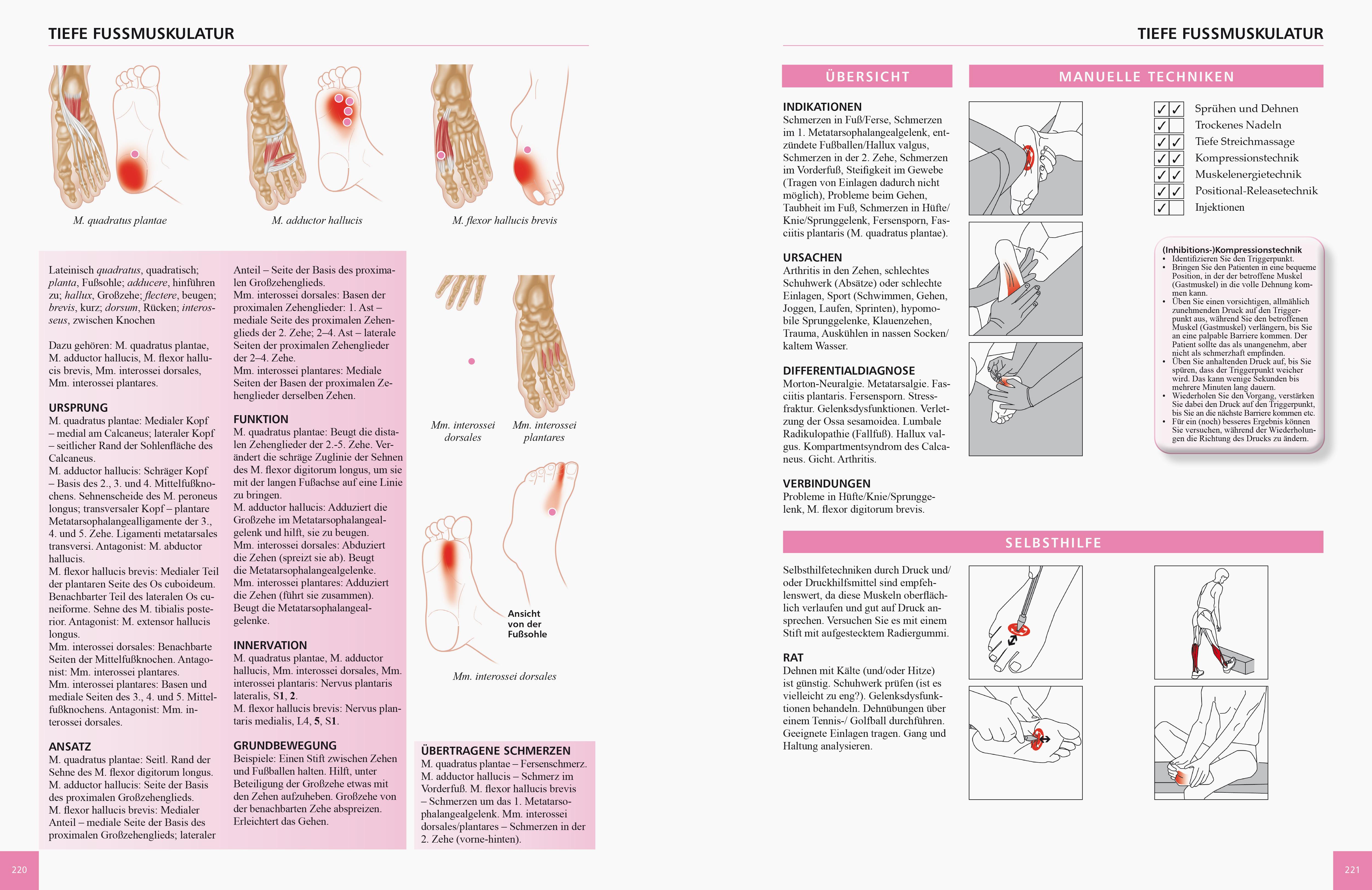 Beispielinhalt (Bild) Referenzbuch Triggerpunkt Behandlung