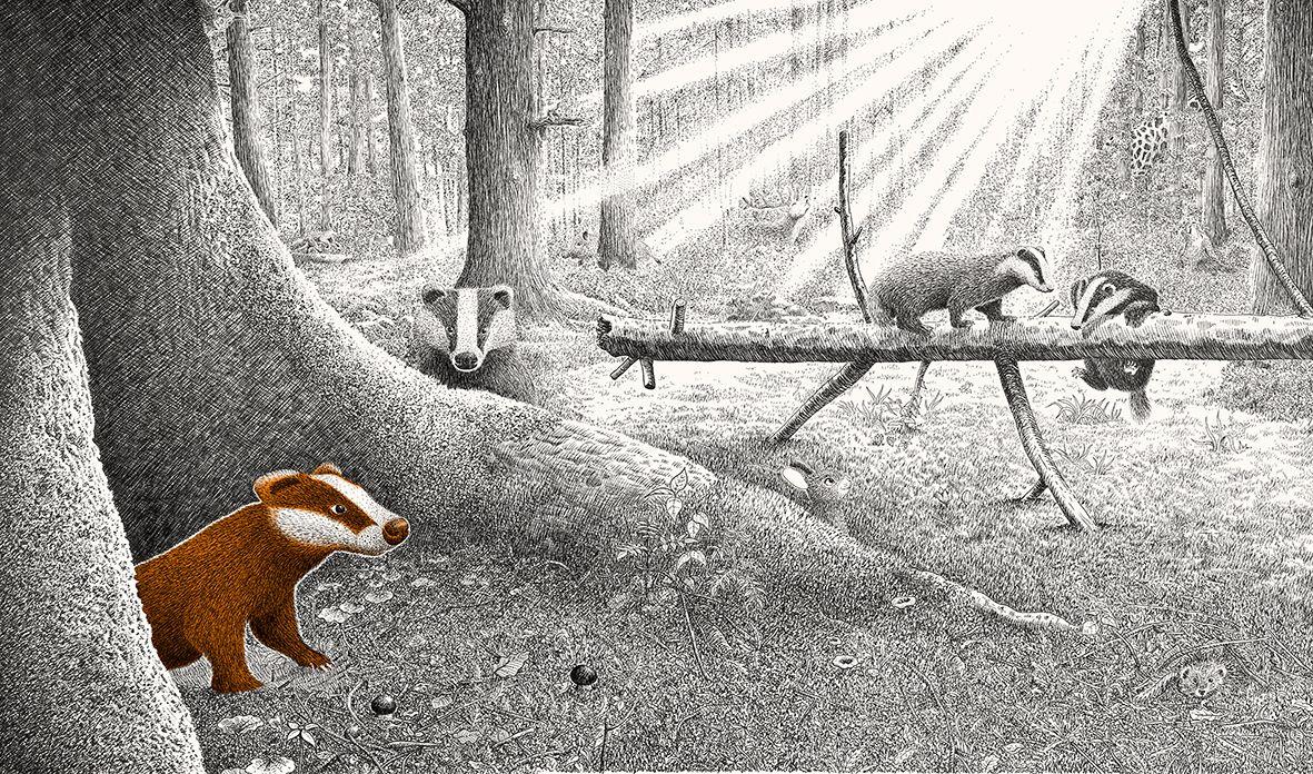 Beispielinhalt (Bild) Versteckt im Wald