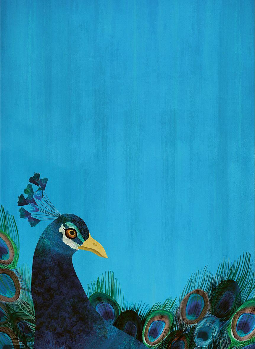 Beispielinhalt (Bild) Eine kleine Geschichte der Menschheit von Tieren erzählt