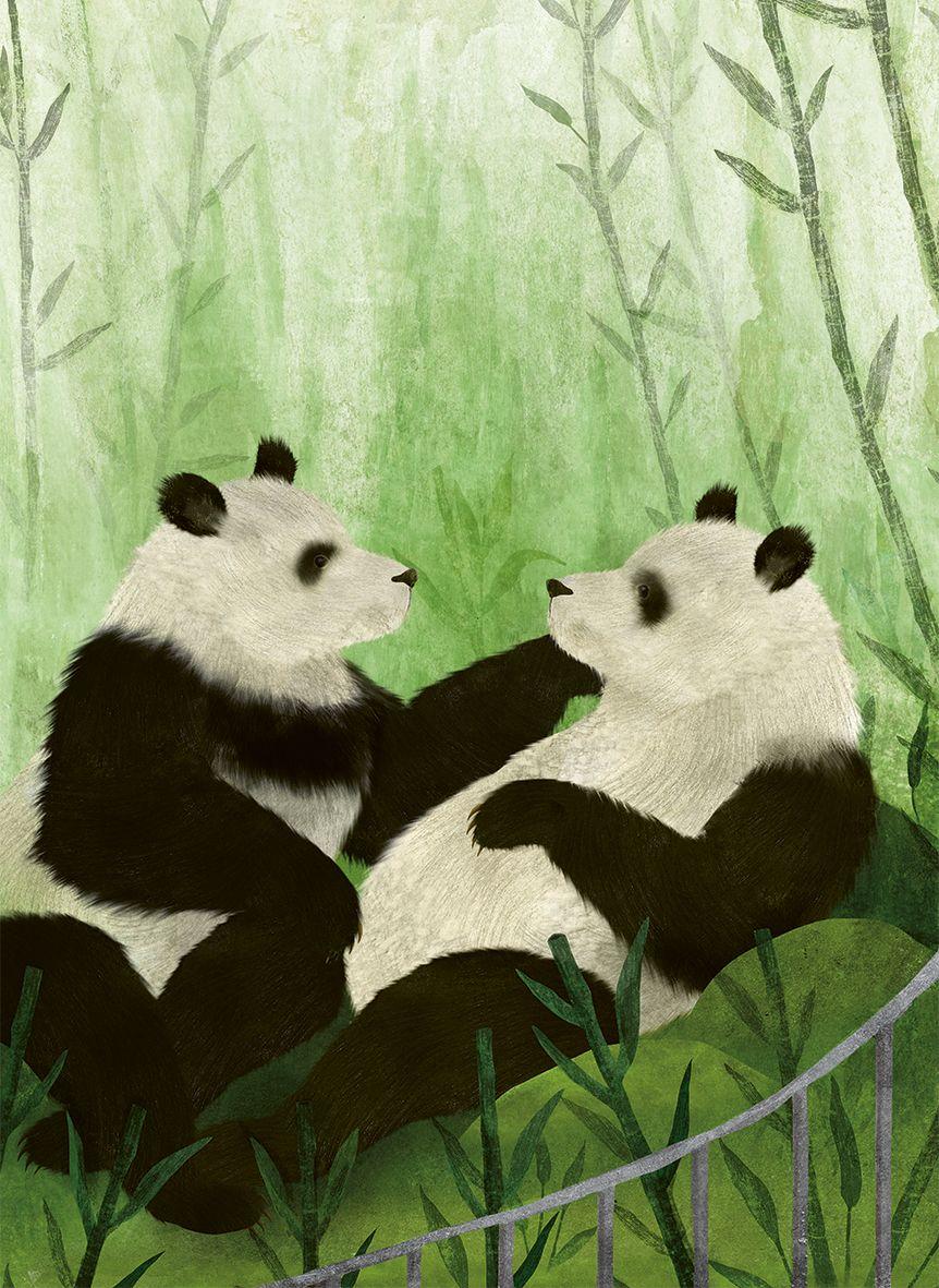 Beispielinhalt (Bild) Eine kleine Geschichte der Menschheit von Tieren erzählt