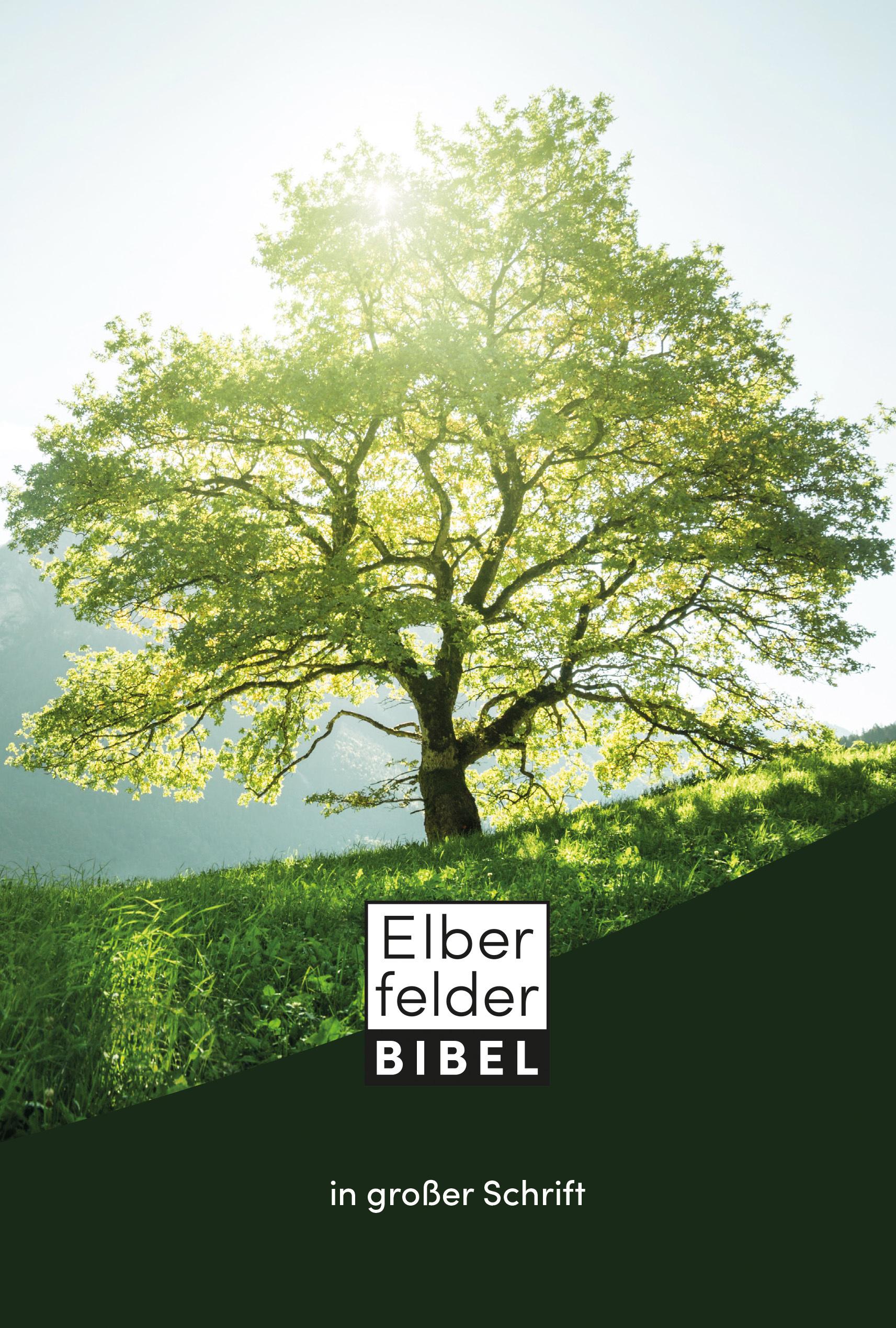Vorderes Coverbild Elberfelder Bibel in großer Schrift