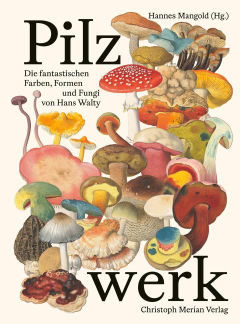 Vorderes Coverbild Pilzwerk