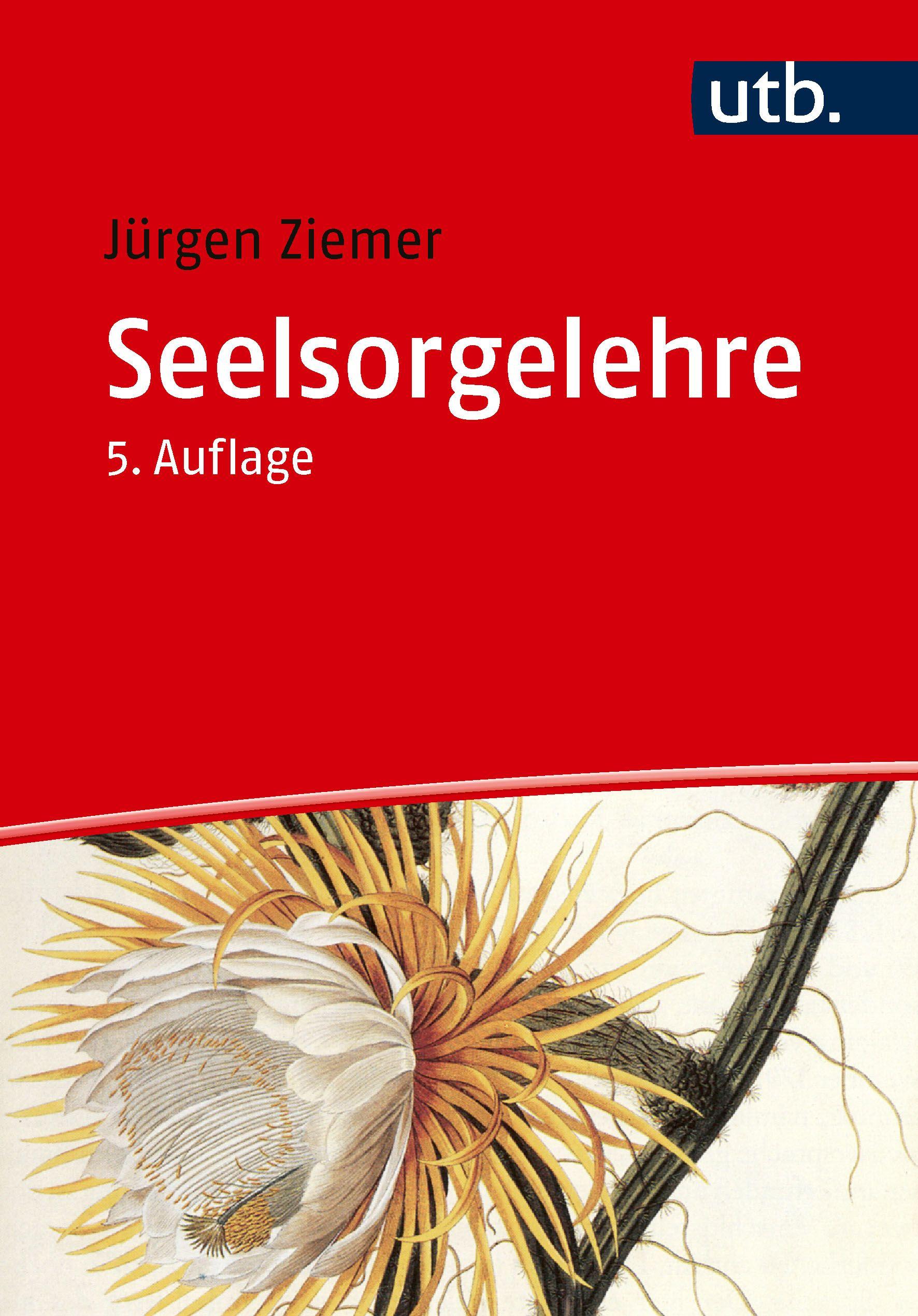Vorderes Coverbild Seelsorgelehre