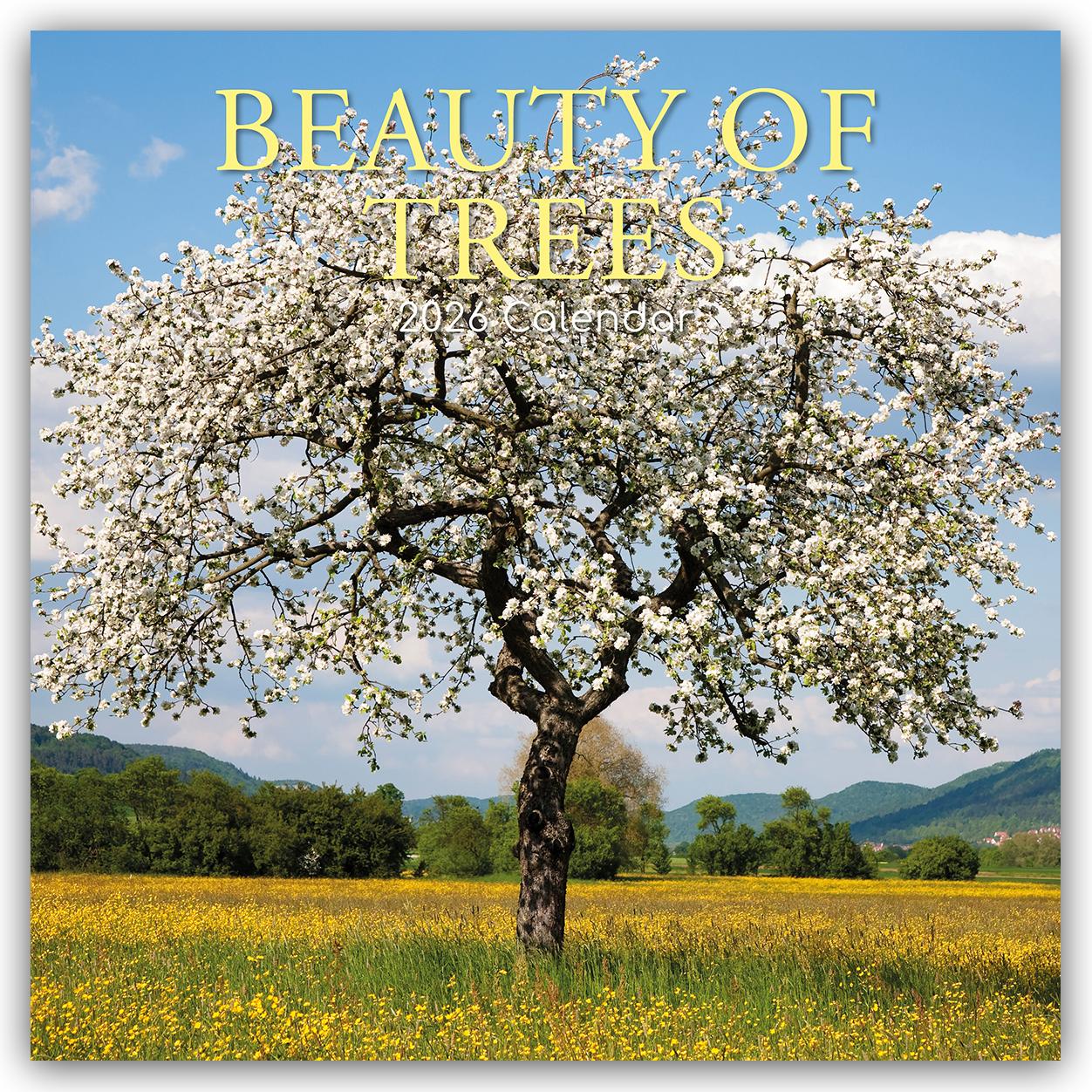 Vorderes Coverbild Beauty of Trees - Die Schönheit der Bäume 2026 - 16-Monatskalender