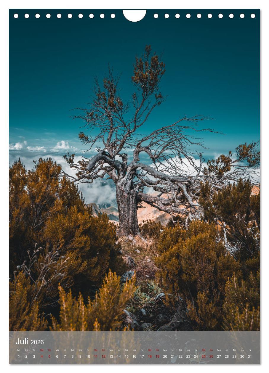 Beispielinhalt (Bild) Madeira - Zauber einer Insel (Wandkalender 2026 DIN A4 hoch), CALVENDO Monatskalender