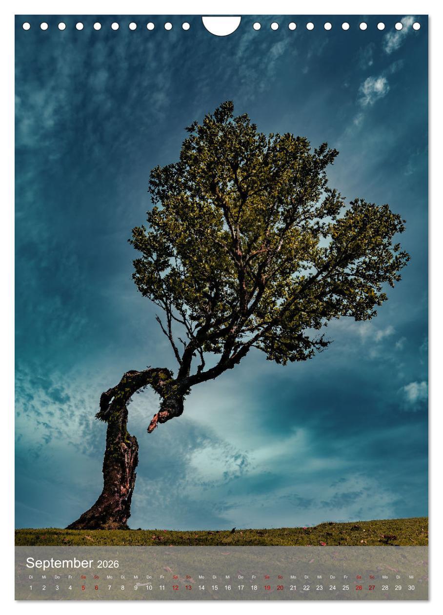 Beispielinhalt (Bild) Madeira - Zauber einer Insel (Wandkalender 2026 DIN A4 hoch), CALVENDO Monatskalender