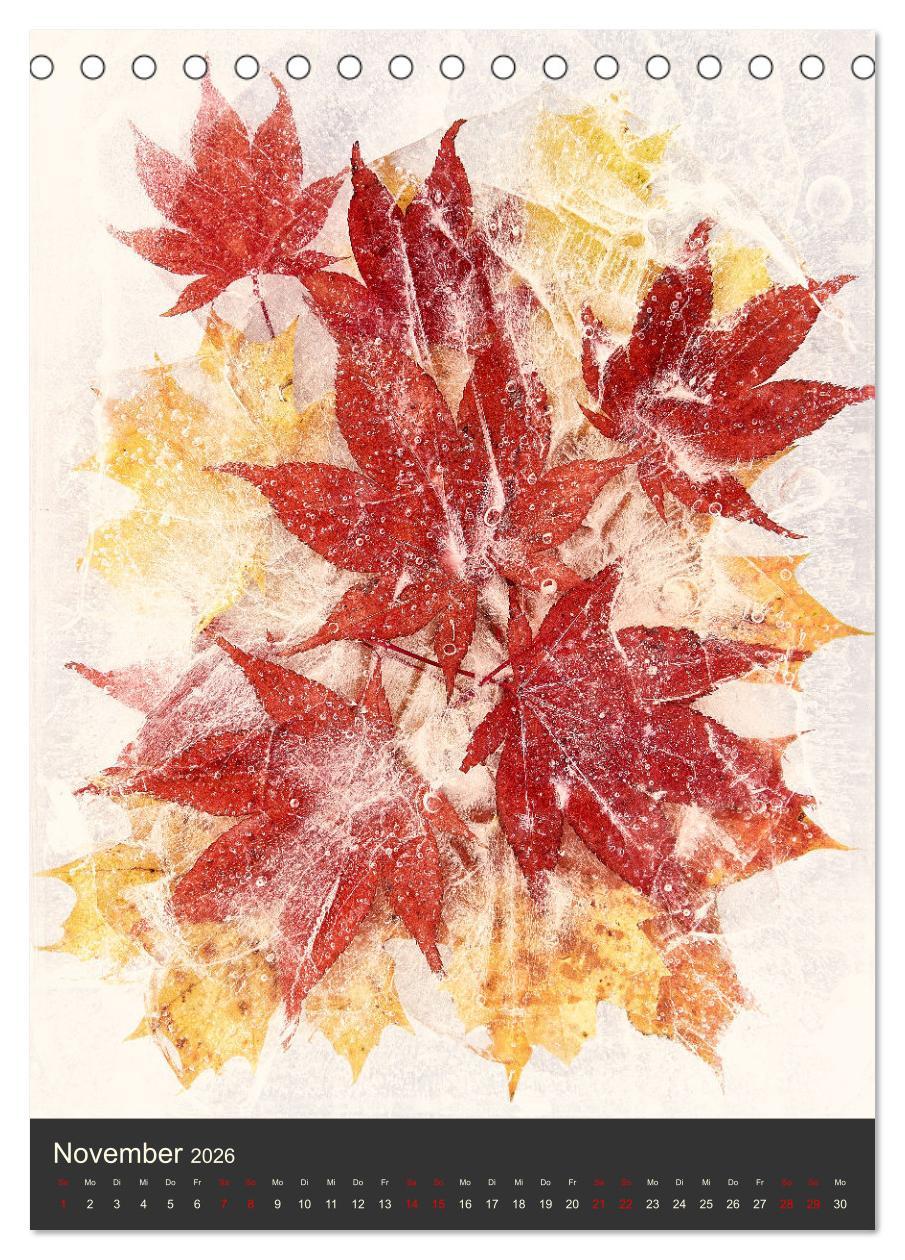 Beispielinhalt (Bild) Magische Eisblumen (Tischkalender 2026 DIN A5 hoch), CALVENDO Monatskalender
