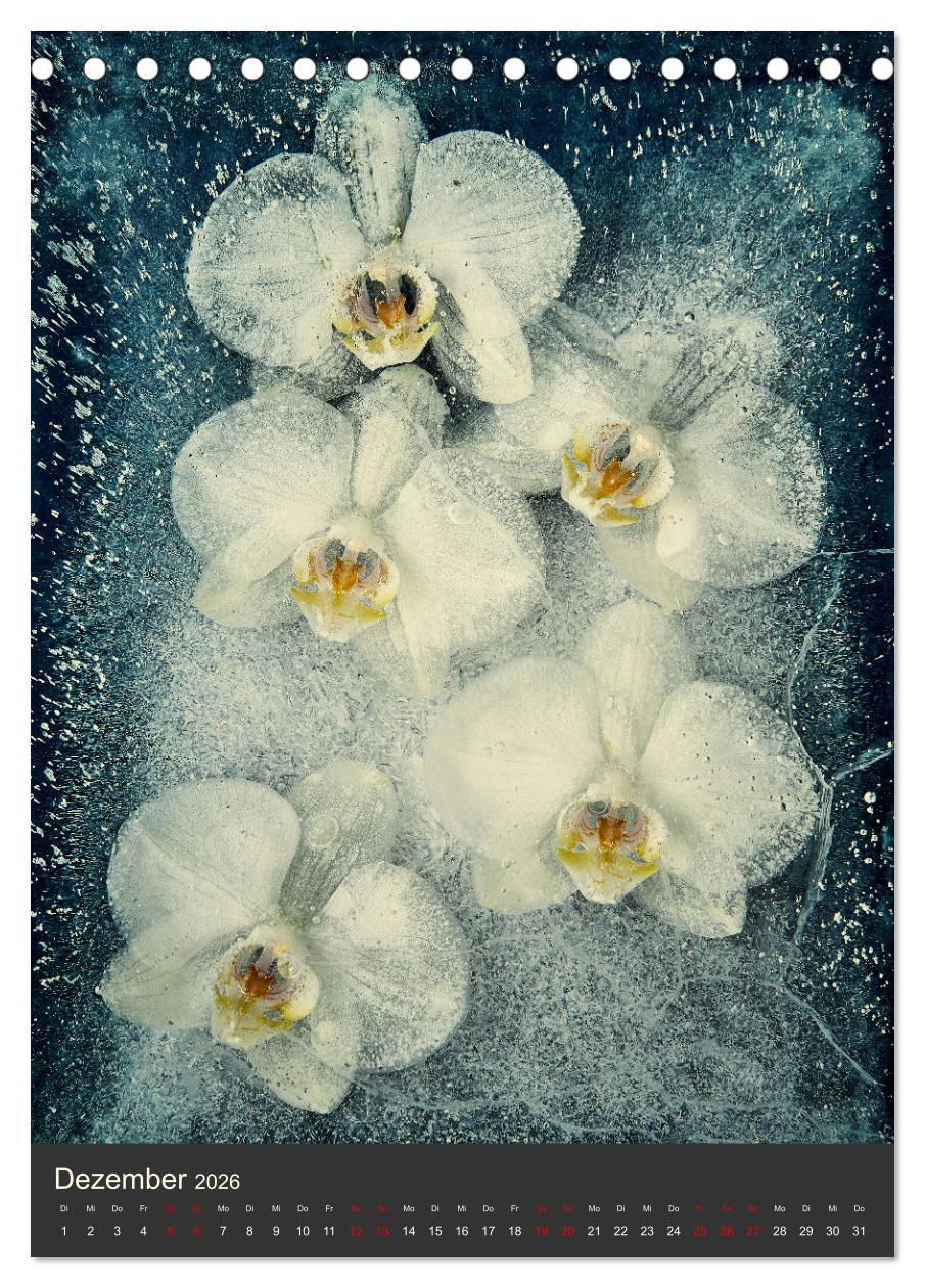 Beispielinhalt (Bild) Magische Eisblumen (Tischkalender 2026 DIN A5 hoch), CALVENDO Monatskalender