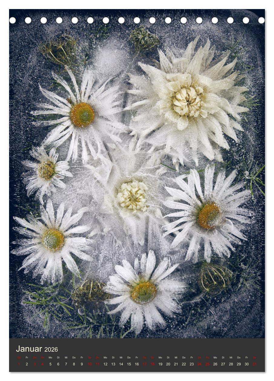 Beispielinhalt (Bild) Magische Eisblumen (Tischkalender 2026 DIN A5 hoch), CALVENDO Monatskalender