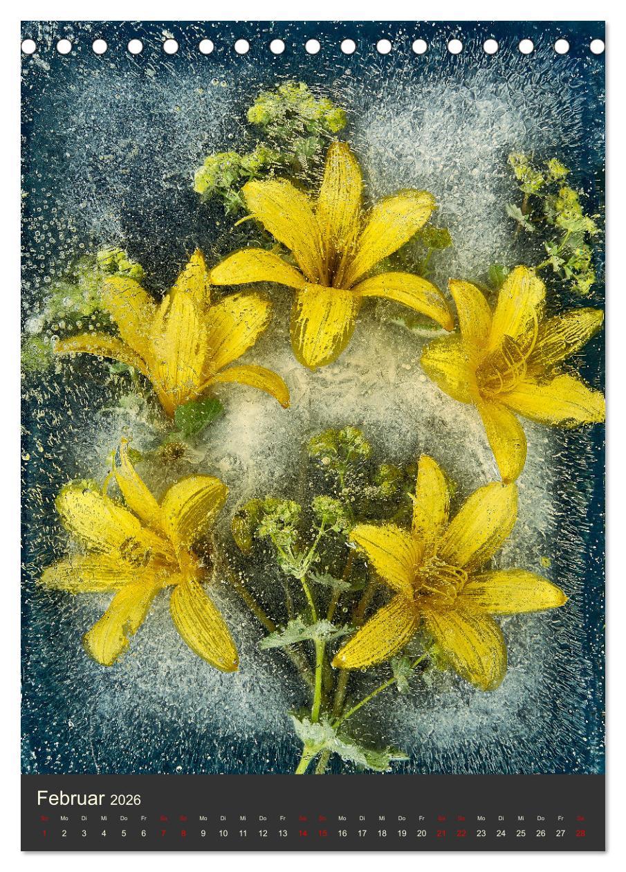 Beispielinhalt (Bild) Magische Eisblumen (Tischkalender 2026 DIN A5 hoch), CALVENDO Monatskalender