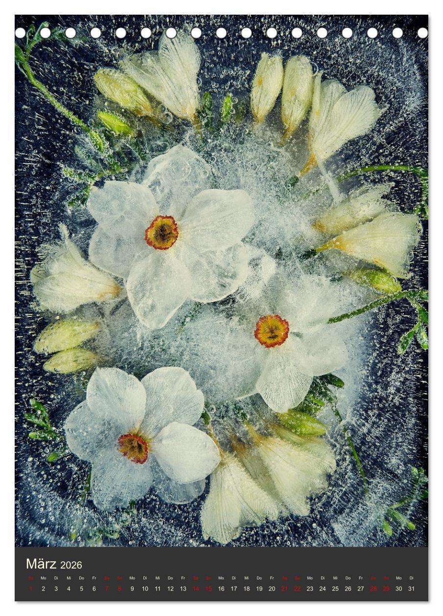 Beispielinhalt (Bild) Magische Eisblumen (Tischkalender 2026 DIN A5 hoch), CALVENDO Monatskalender