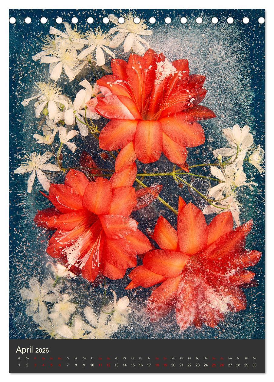 Beispielinhalt (Bild) Magische Eisblumen (Tischkalender 2026 DIN A5 hoch), CALVENDO Monatskalender