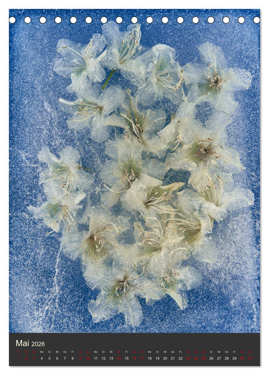 Beispielinhalt (Bild) Magische Eisblumen (Tischkalender 2026 DIN A5 hoch), CALVENDO Monatskalender